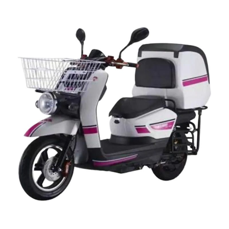 Electric Delivery Scooter
