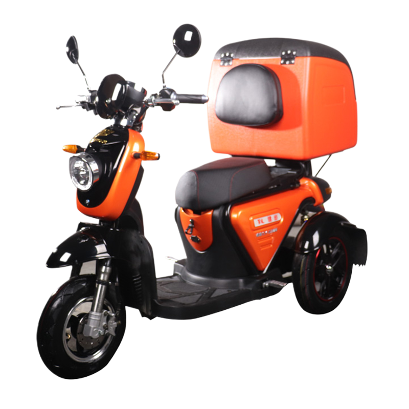 Electric Trike