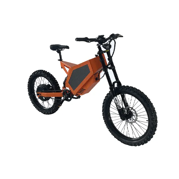 SS60, Motocicleta eléctrica de motocross