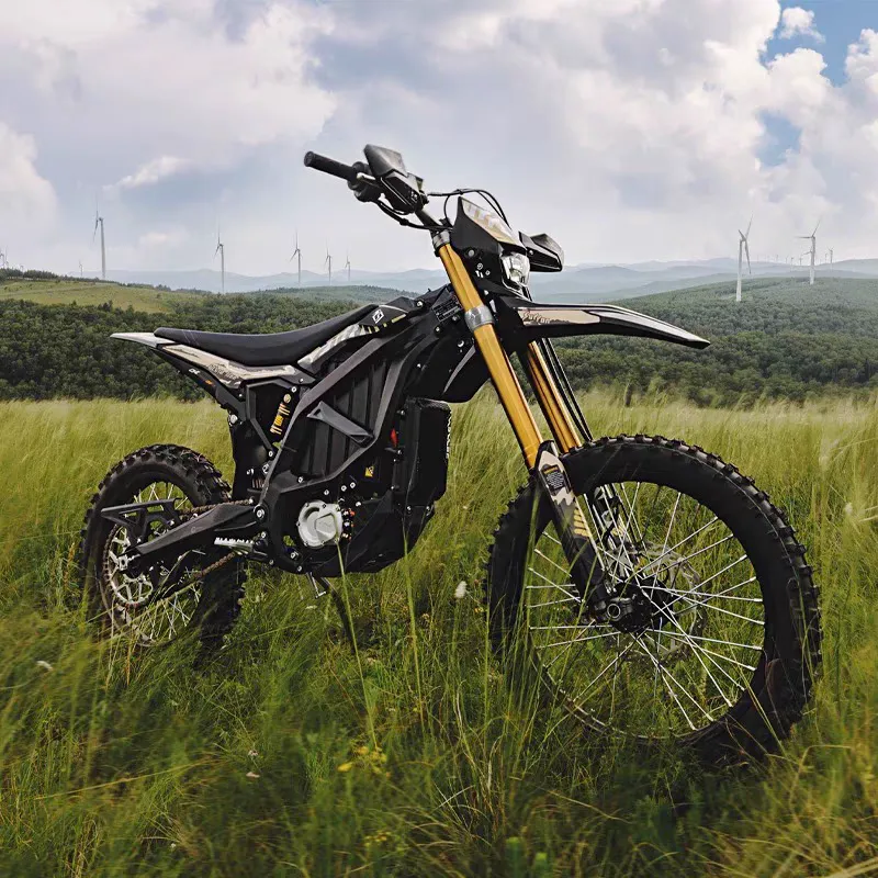 Ultra Bee, motocicleta eléctrica pesada para terrenos difíciles