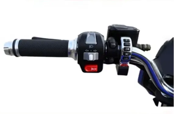 LS-FY, adult electric motorcycle