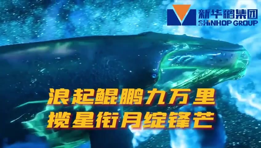 新华鹏集团2024广州亚太储能展预热视频.mp4