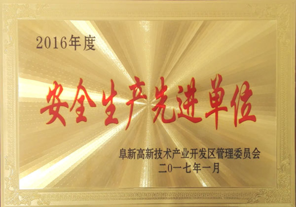 安全生产先进单位（2016年度）