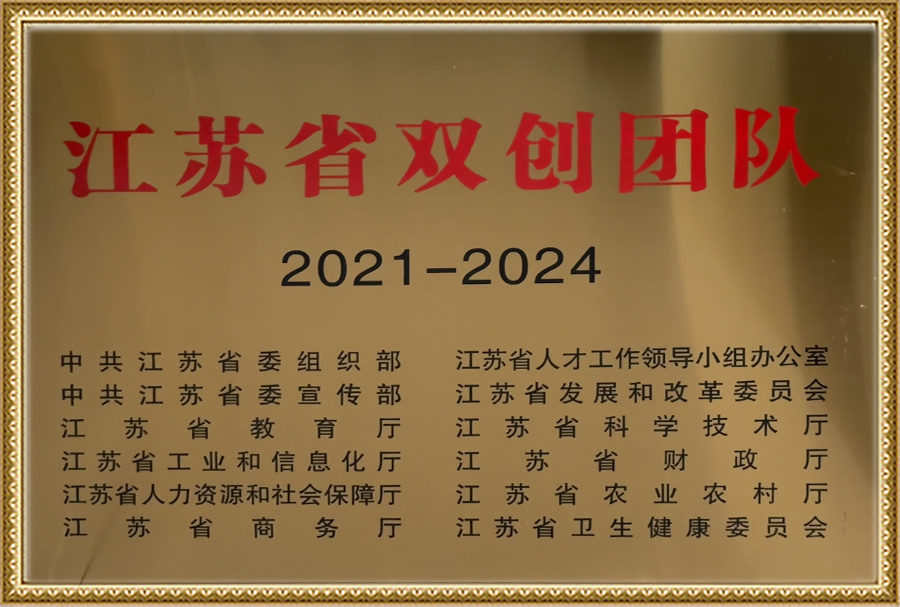 双创团队