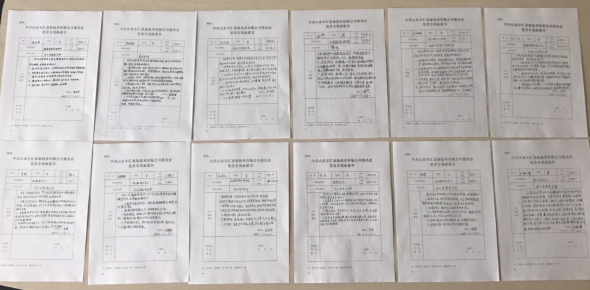 公司組織開展黨員專項(xiàng)承諾活動(dòng)