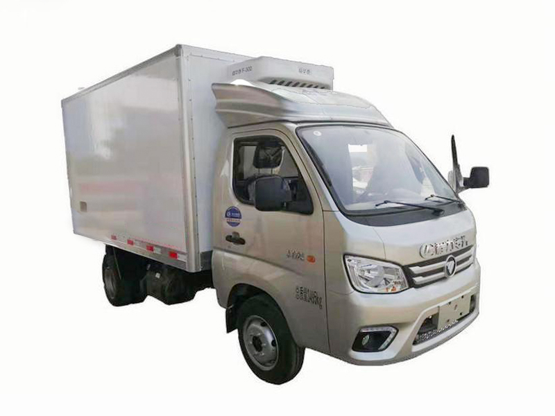 Camion frigorifique Futian Xiangling de 3,1 mètres