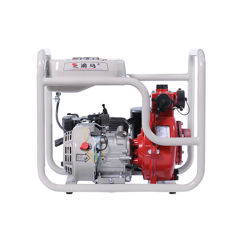 QG Z50-21-30(10L)