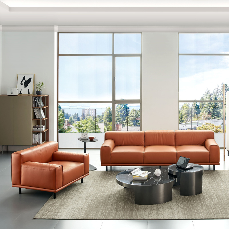 Living Room Leather Sofas