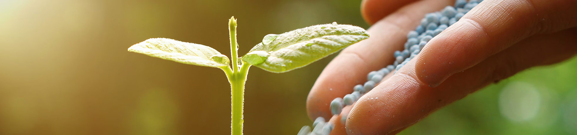 Shandong Pengbo Biotechnology Co., Ltd.