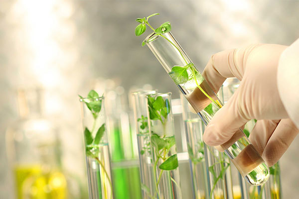 Enzyme Biostimulants