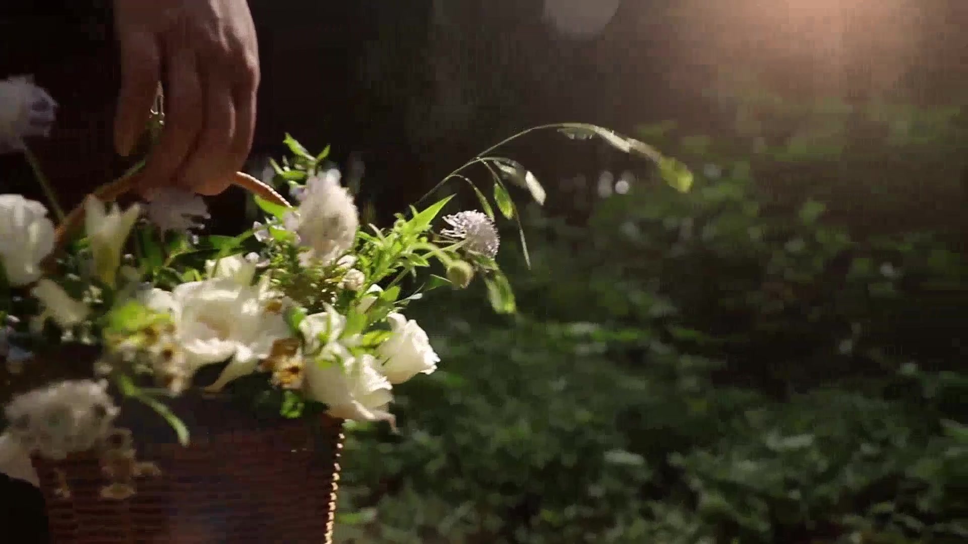 The fragrance