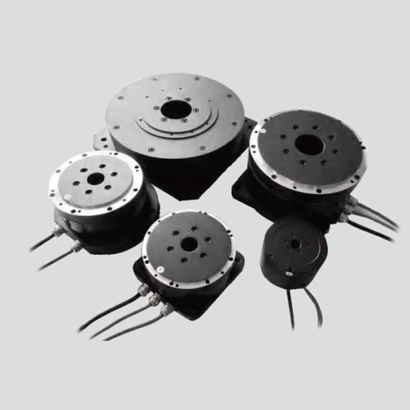 Direct drive rotary motor