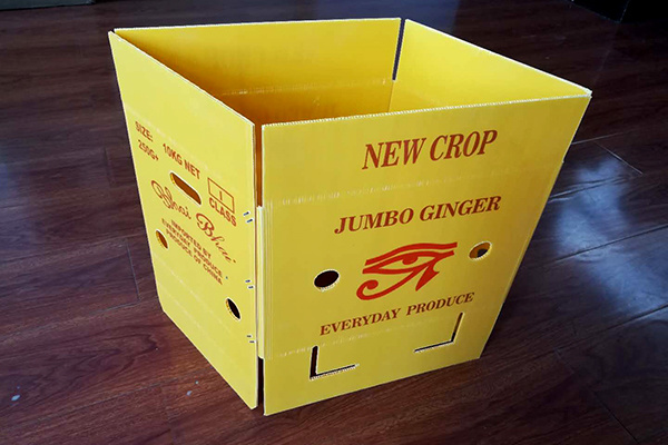 Corrugated plastic recycling bin