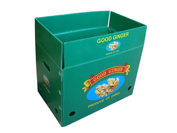 Corrugated plastic turnover box