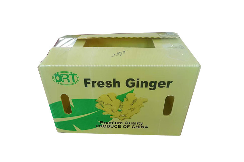 Corrugated plastic fruit box