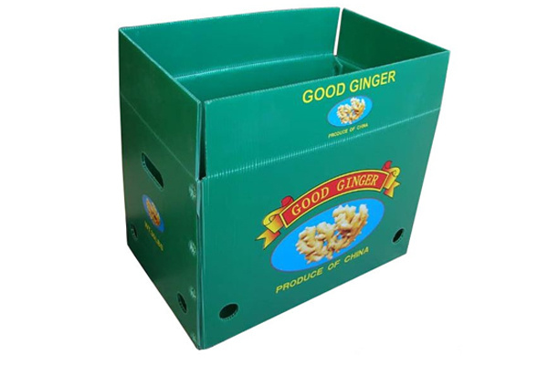 Plastic hollow corrugated box