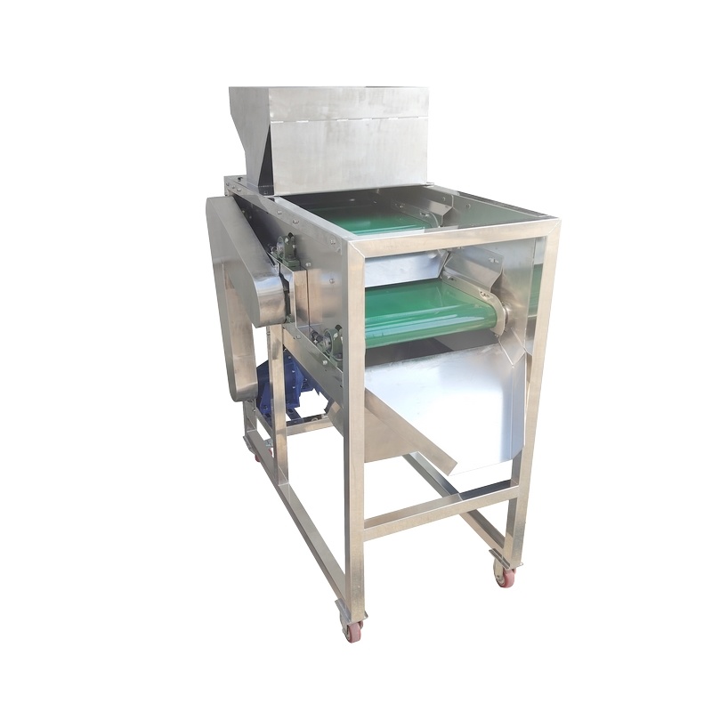 Belt-type permanent magnetic separator