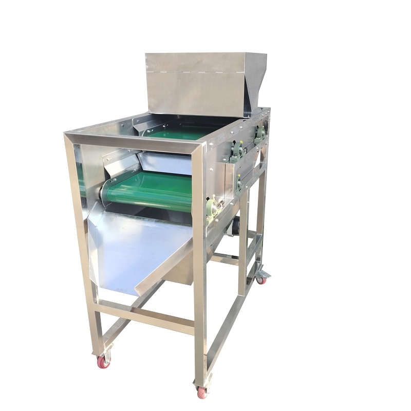 Belt-type permanent magnetic separator