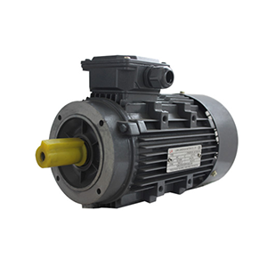 YE3-80~160 series (aluminum shell) ultra-efficient three-phase asynchronous motor