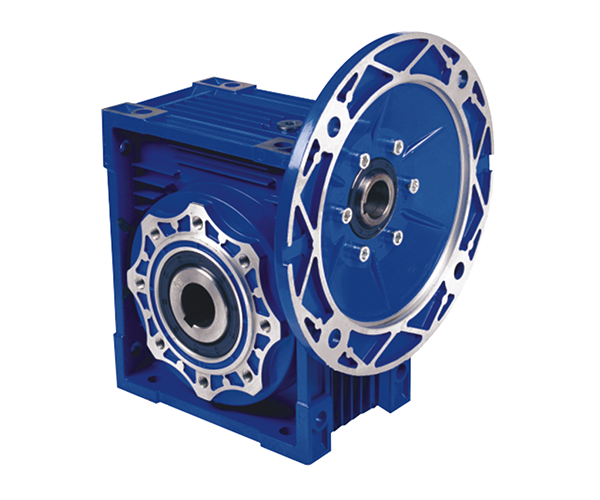 RV worm reducer (basic type)