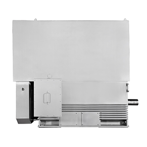 Siemens Beide 1MC0 high-efficiency high-voltage motor
