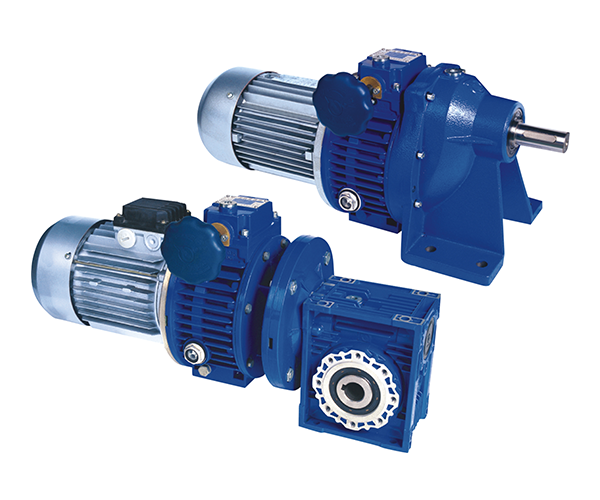 RV worm reducer (combined)