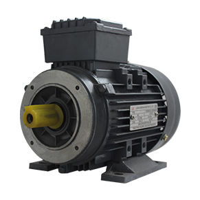 YE2-80~160 series (aluminum shell) high-efficiency three-phase asynchronous motor