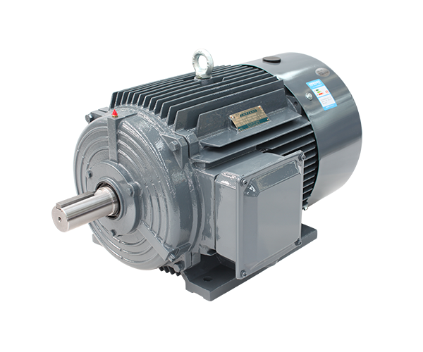 Beide 1T0 high-efficiency motor