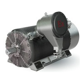 Siemens Beide 1MC4 high-voltage high-efficiency flameproof motor