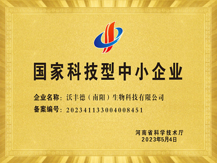 Technology-based small and medium-sized enterprises