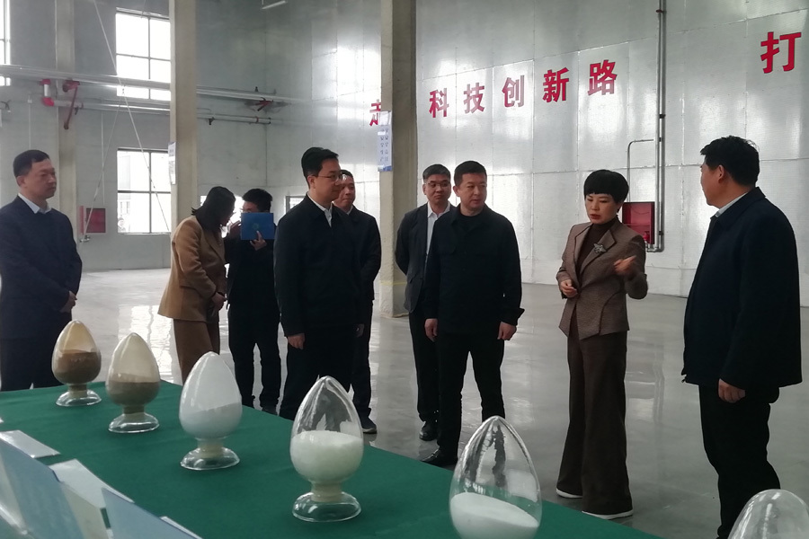 Fan Yong, head of the Nanyang Municipal Party Committee's United Front Work Department, inspected the park