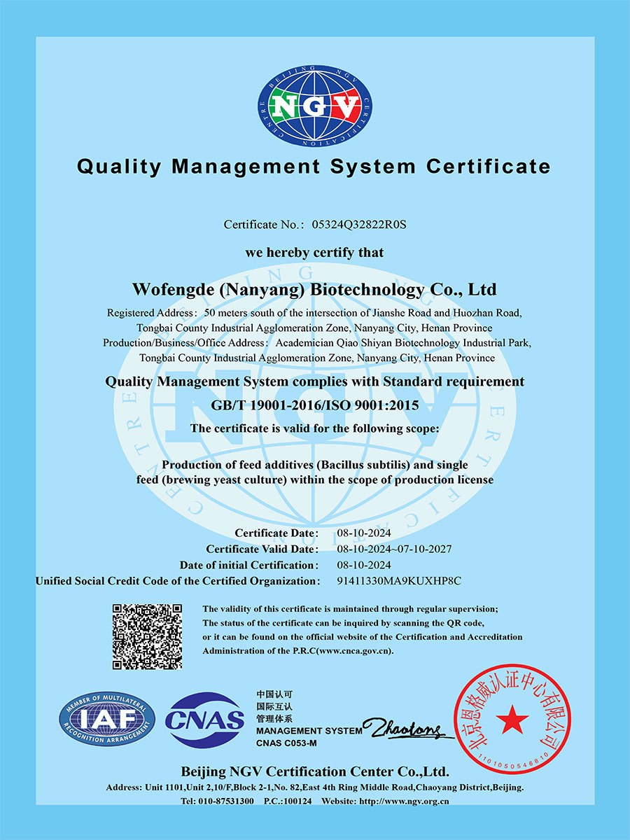 ISO 9001：2015