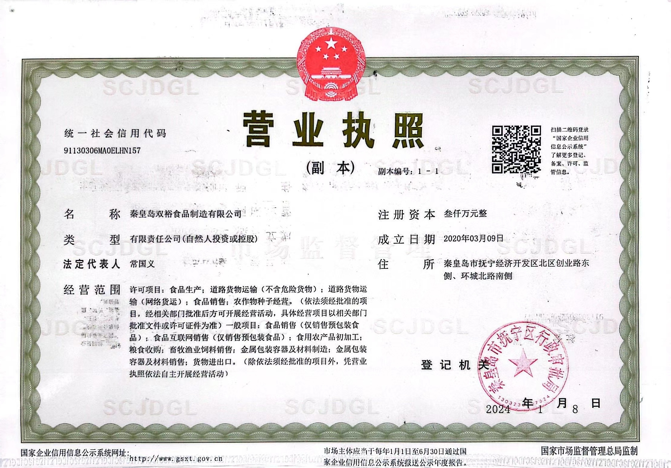 Business License Copy