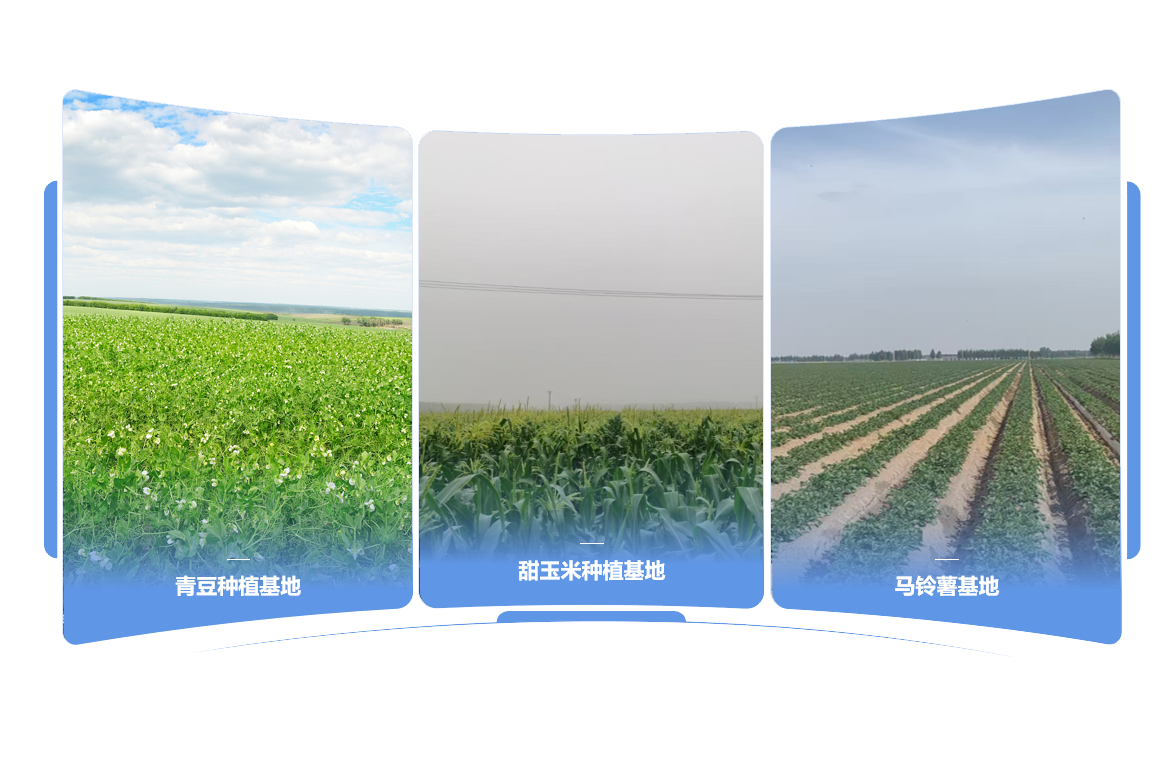 视频标题 视频标题