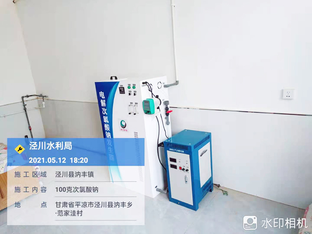 甘肃省平凉市泾川县水利局100克次氯酸钠发生器