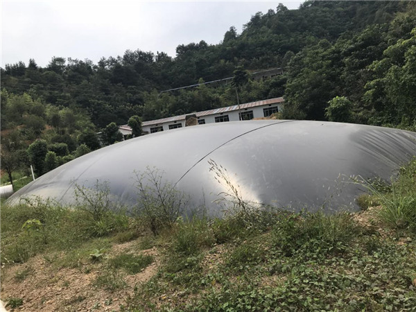 生猪养殖废水处理案例现场