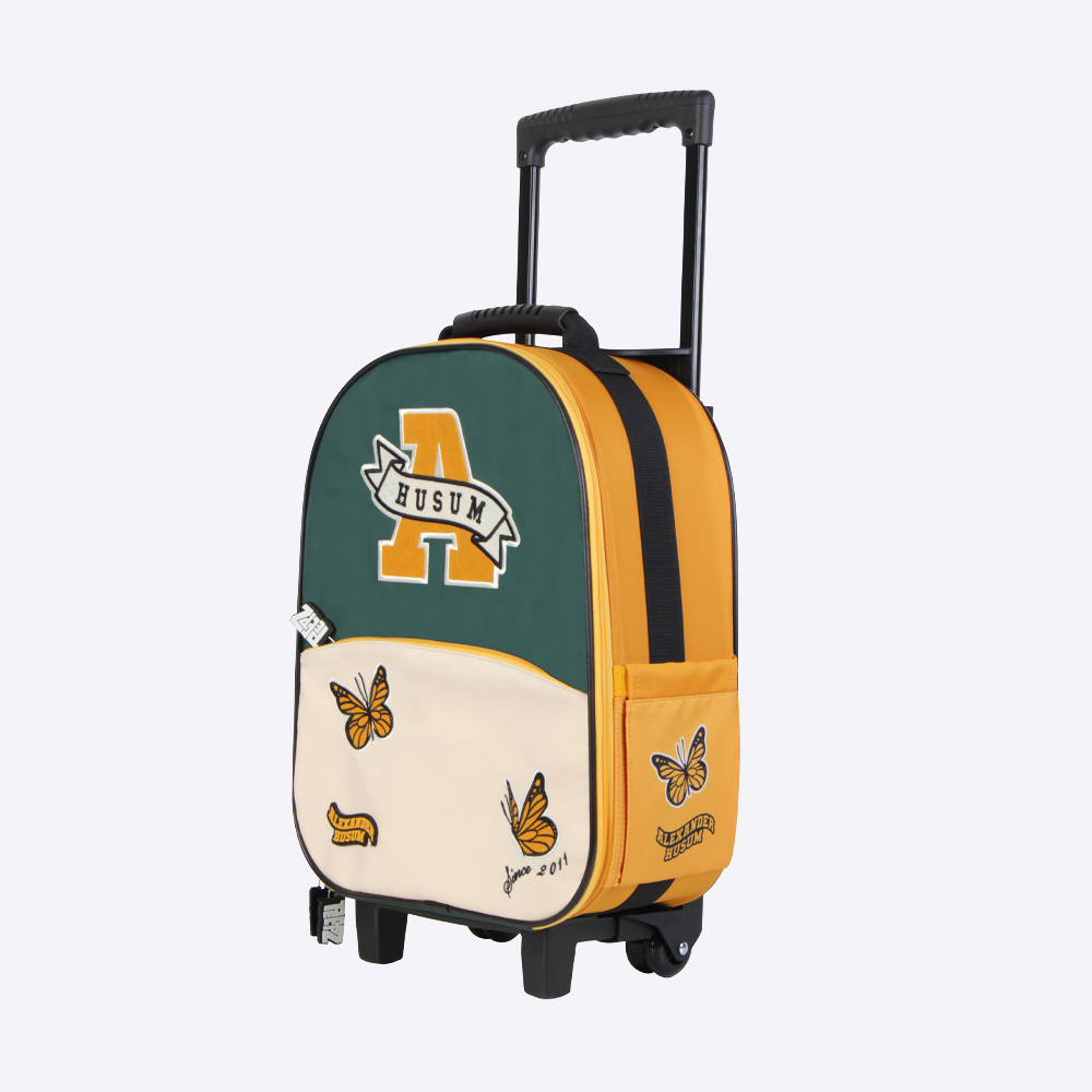 Trolley Case