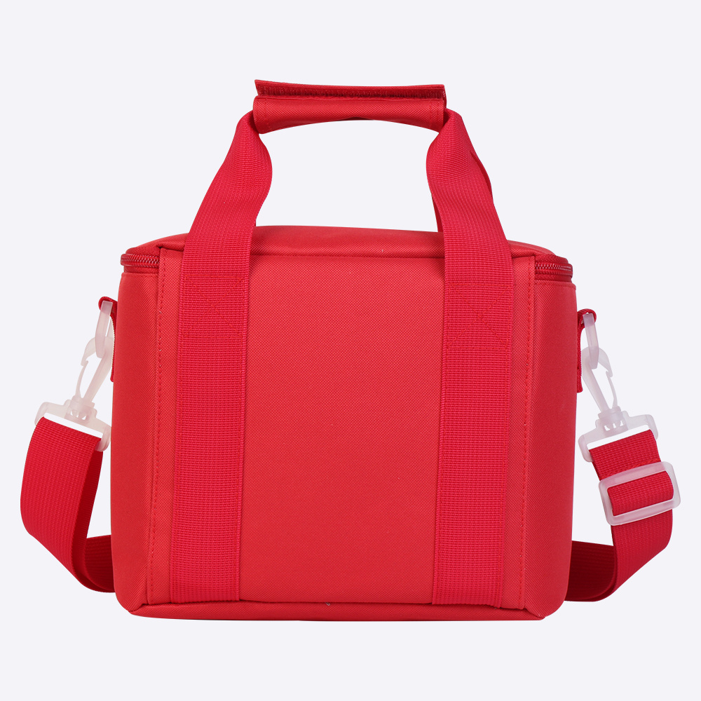 Cooler Bag