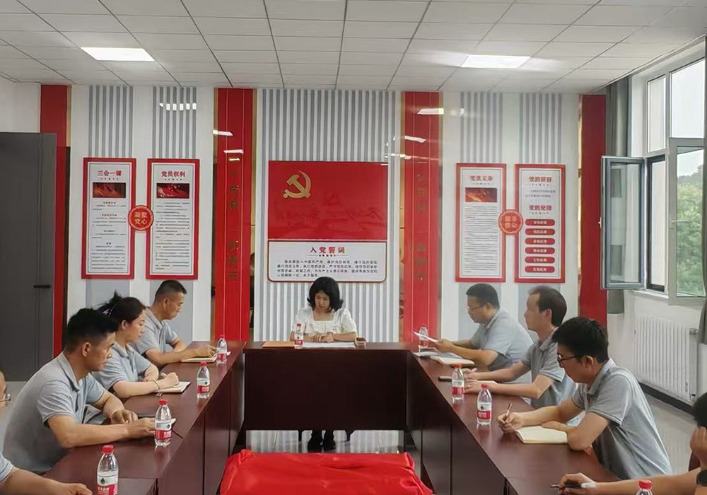 公司党支部成立大会