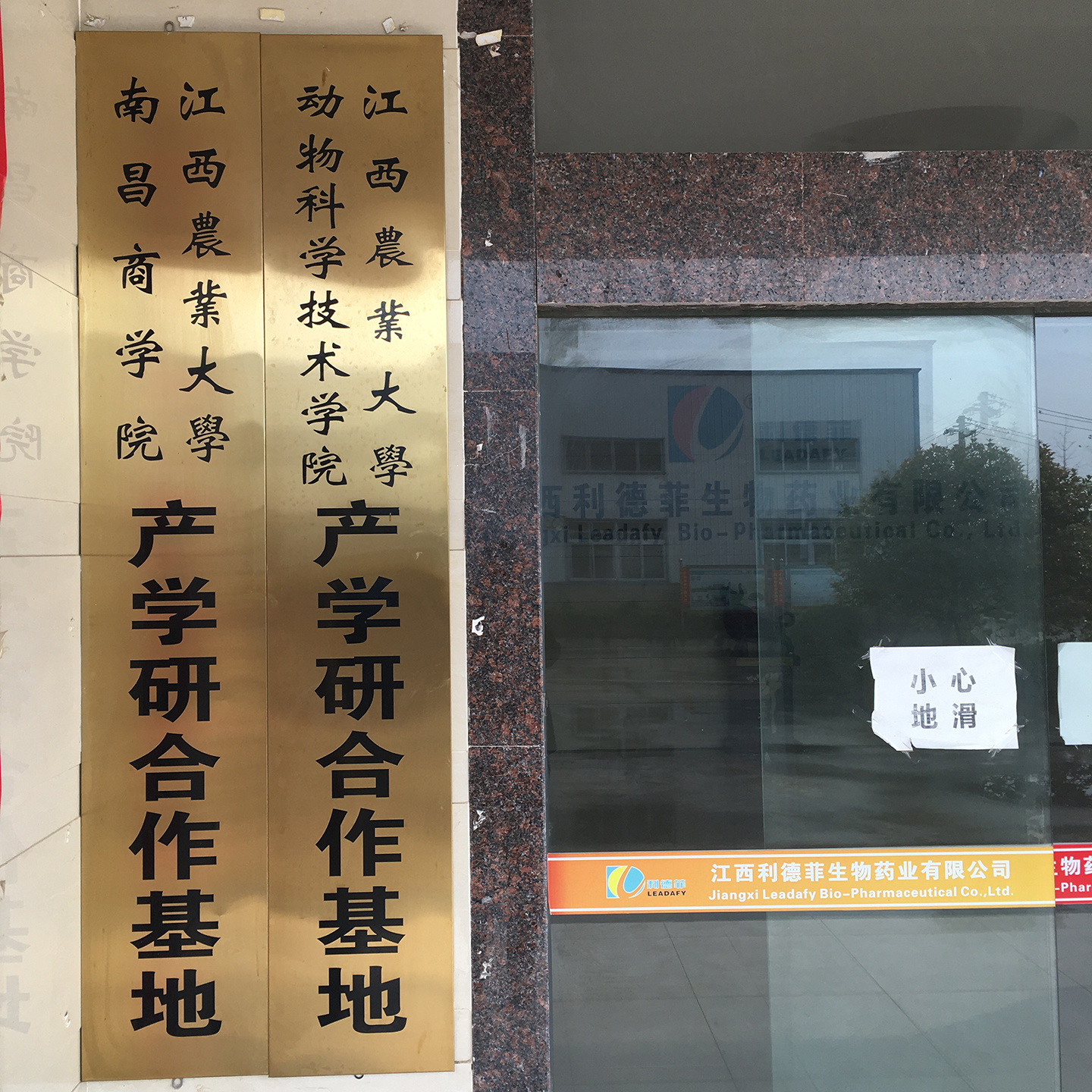 與江西農(nóng)大合作牌
