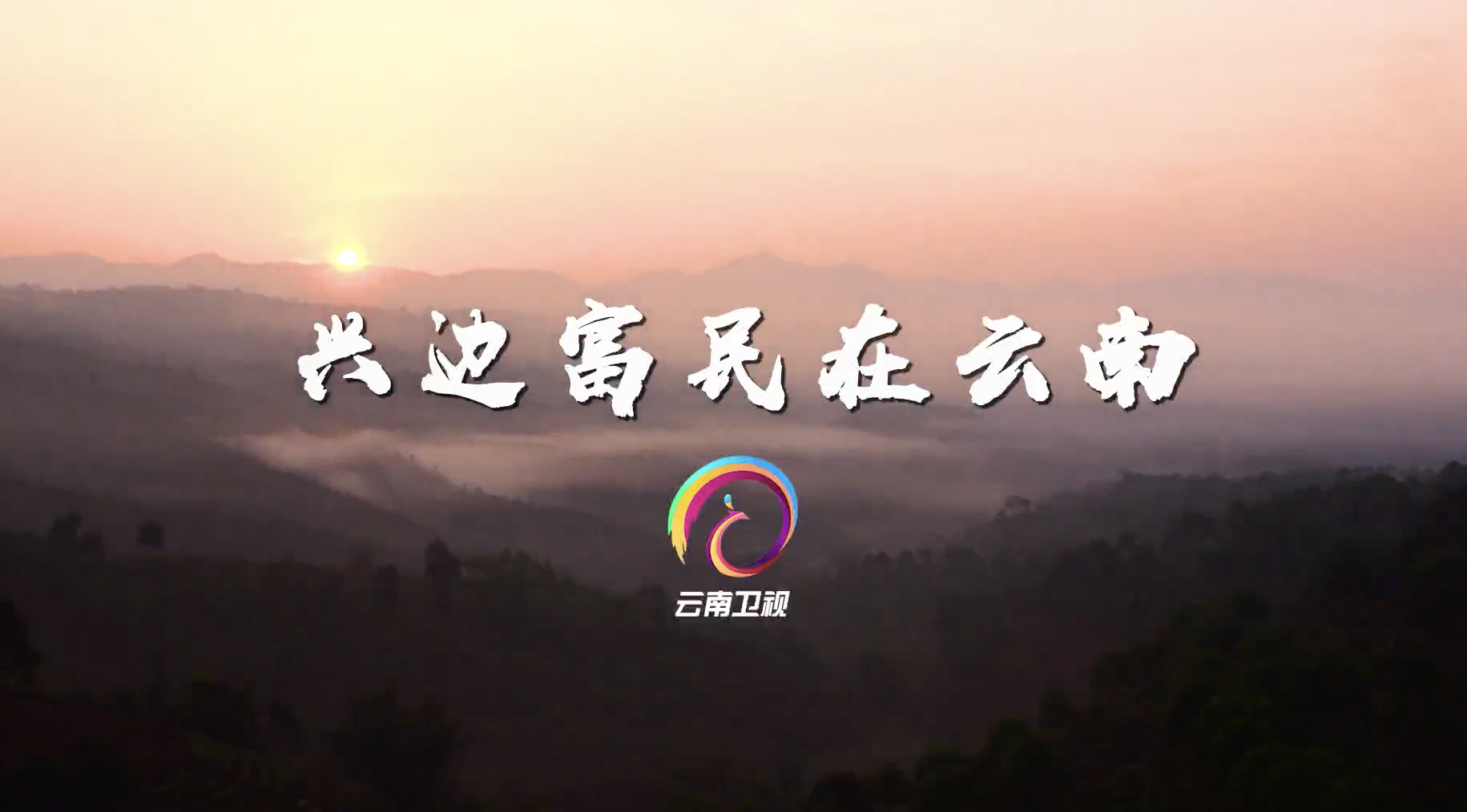 《興邊富民看云南》宣傳片