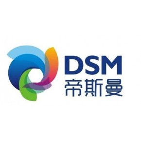 DSM, Netherlands