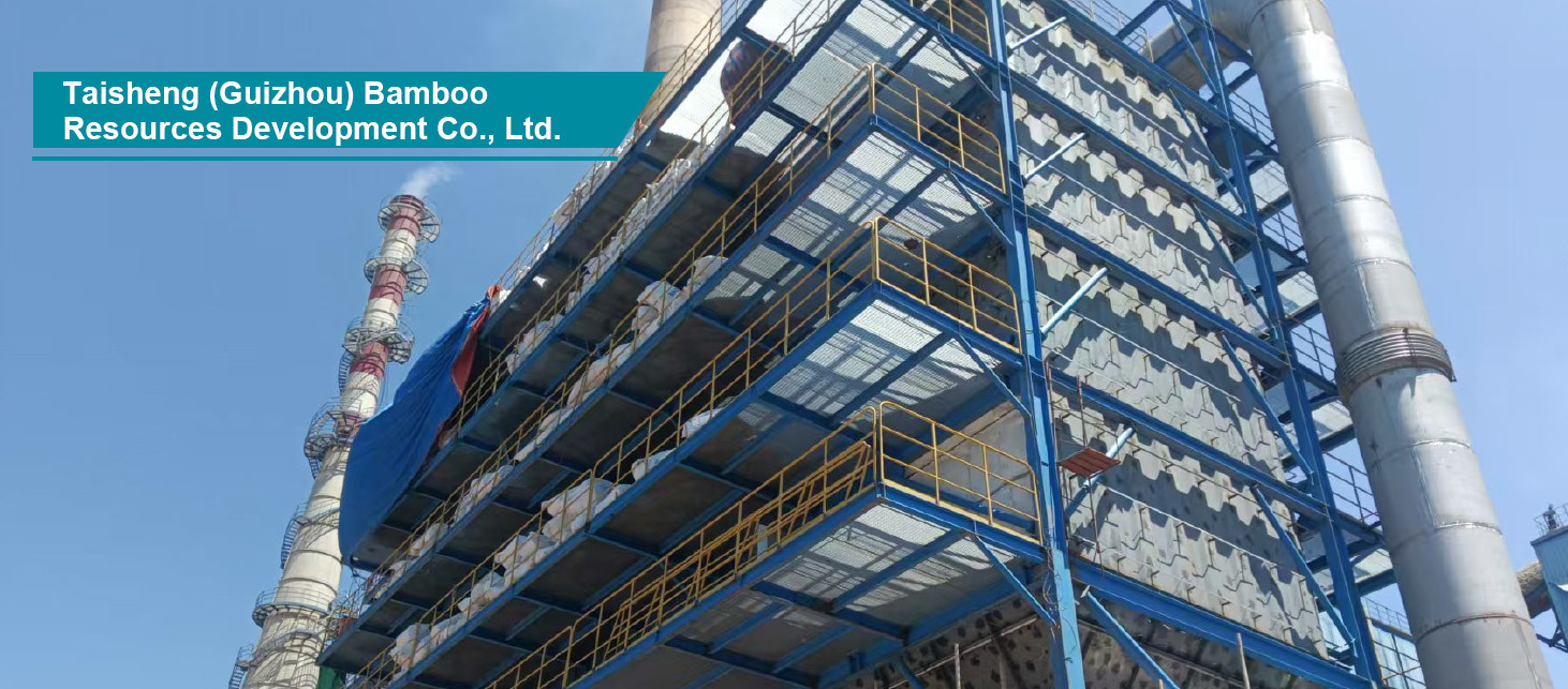 2500 tds/d Alkali Recovery Furnace Flue Gas Denitration Project 2500 tds/d Alkali Recovery Furnace Flue Gas Denitration Project