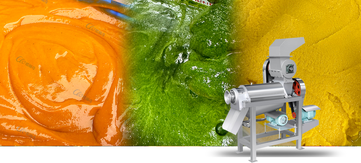 Fruit And Vegetable Processing Series