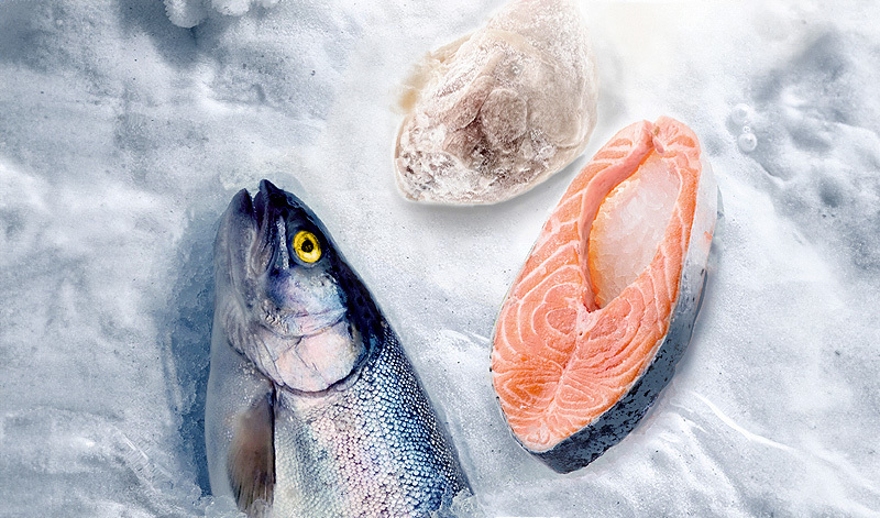 Ultra-Flow Freezer: Intelligent Cold Chain Guardian