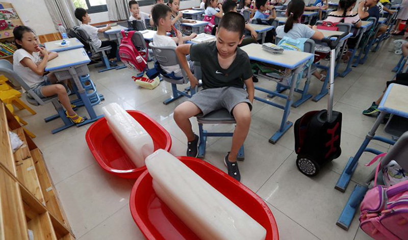 Ice Brick Machine Solution
