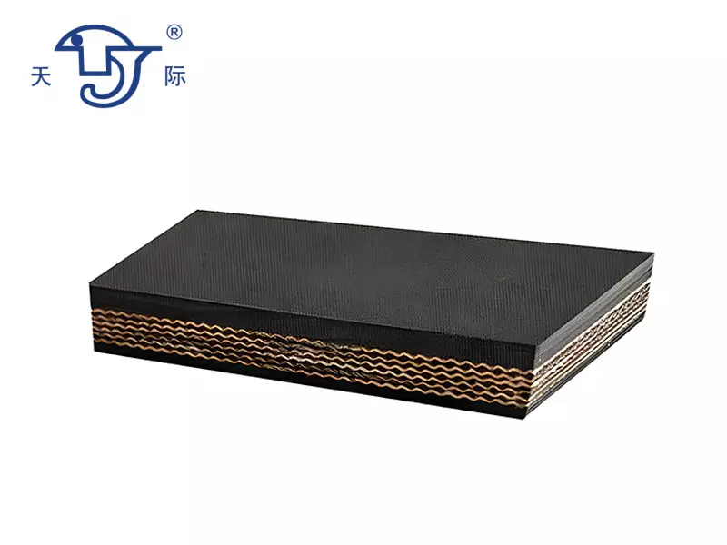 Polyester heat-resistant conveyor belt