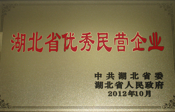 2012年優(yōu)秀民營(yíng)企業(yè)