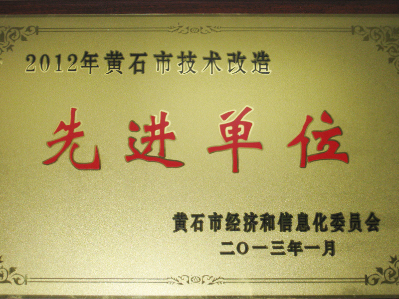 2013-市技術(shù)改造先進(jìn)單位