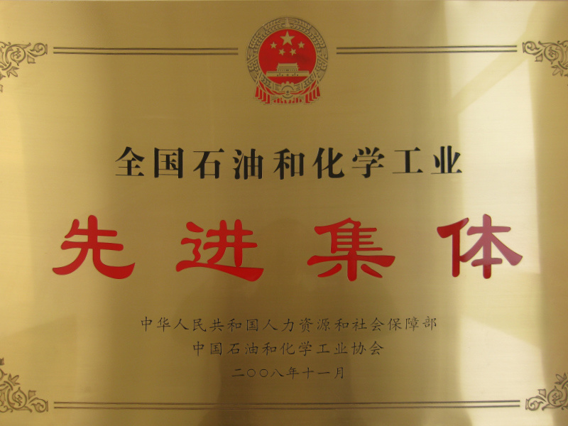 2008-全國石油和化工企業(yè)先進集體